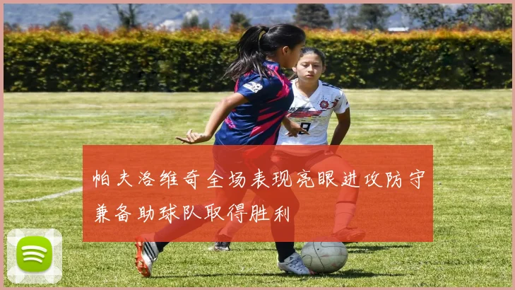 帕夫洛维奇全场表现亮眼进攻防守兼备助球队取得胜利